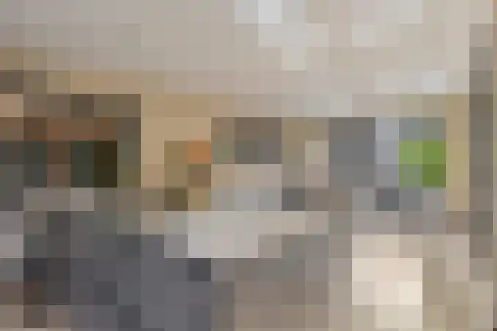 Schans 3 Zaandijk thumbnail 14