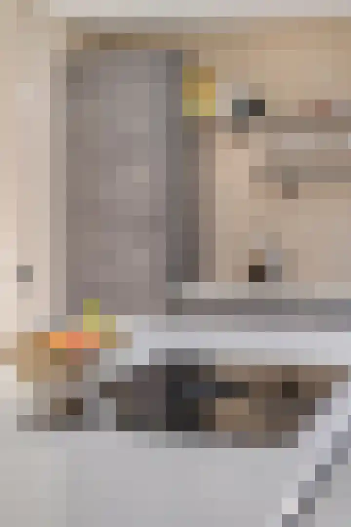 Schans 3 Zaandijk thumbnail 16