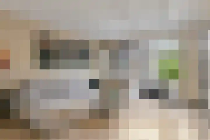 Schans 3 Zaandijk thumbnail 18
