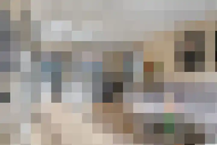 Schans 3 Zaandijk thumbnail 19