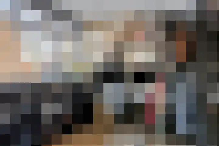 Schans 3 Zaandijk thumbnail 24