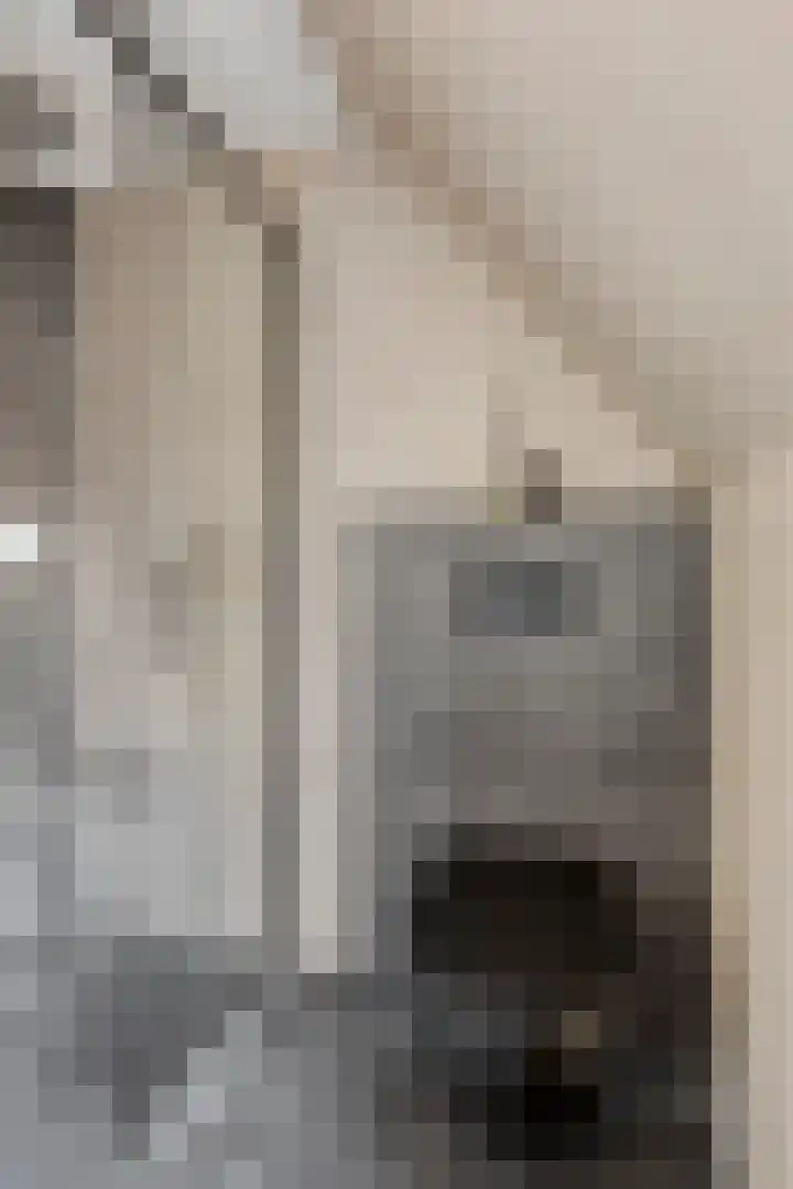 Schans 3 Zaandijk thumbnail 25