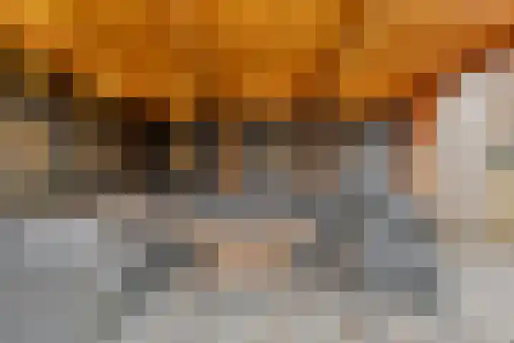 Schans 3 Zaandijk thumbnail 31