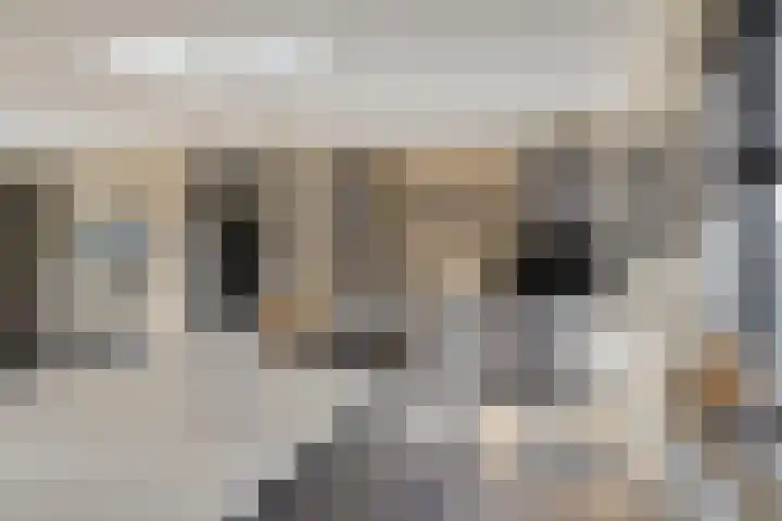Schans 3 Zaandijk thumbnail 4