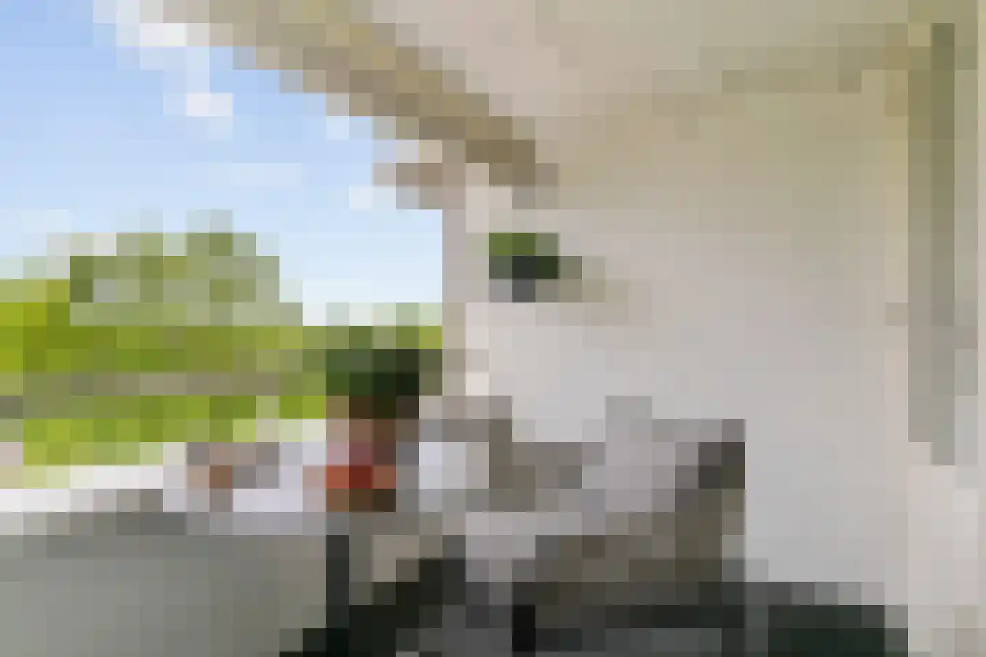 Schans 332 Uithoorn thumbnail 27