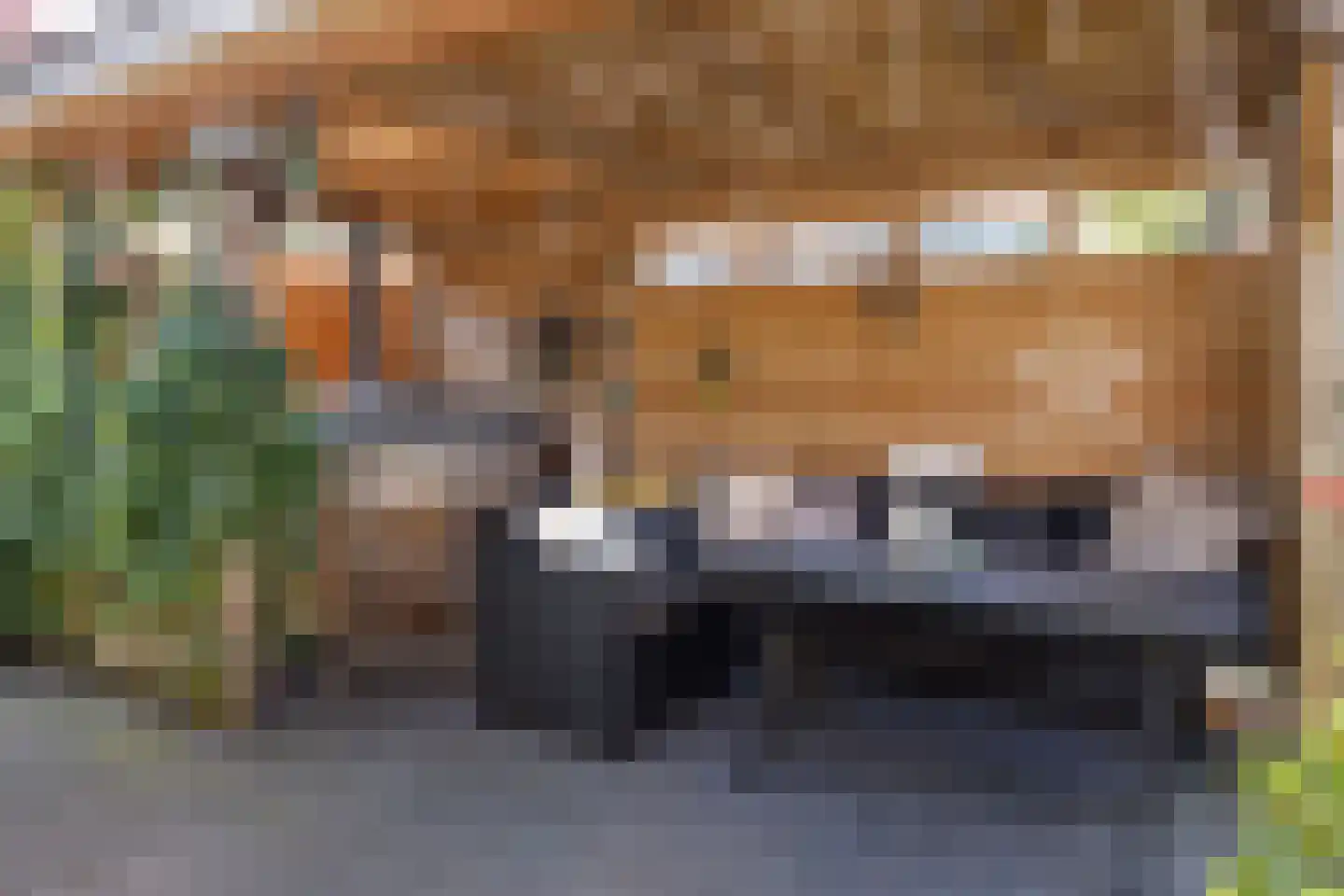 Schans 4 Heerenveen thumbnail 36
