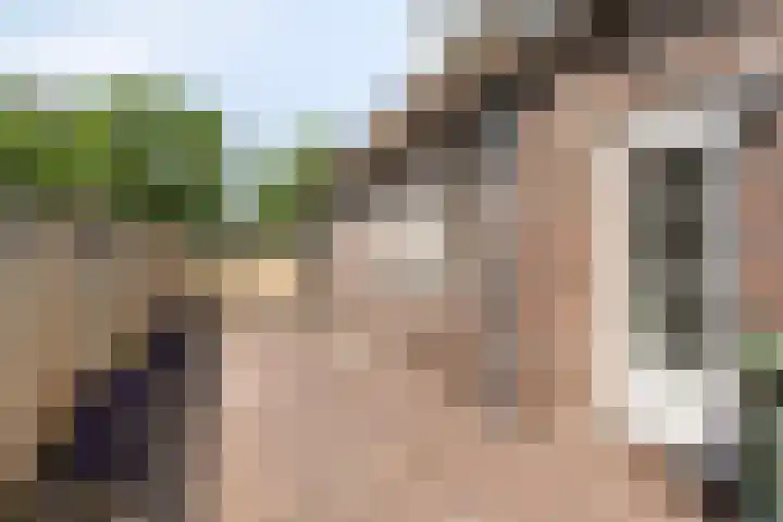 Schans 43 Veldhoven thumbnail 37