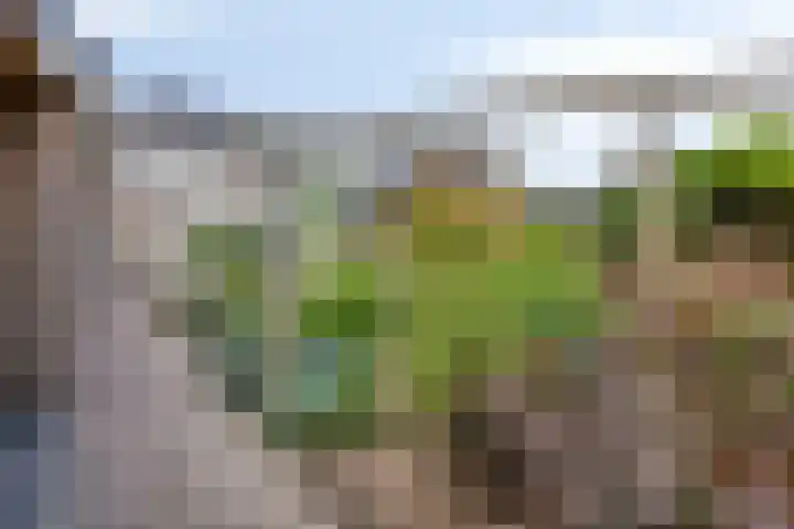 Schans 43 Veldhoven thumbnail 39