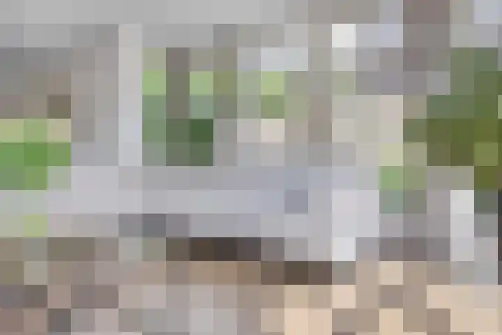 Schans 43 Veldhoven thumbnail 4