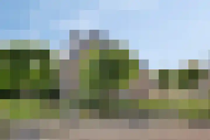 Schans 43 Veldhoven thumbnail 43