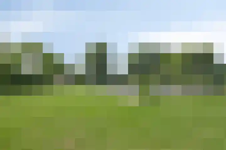 Schans 43 Veldhoven thumbnail 47