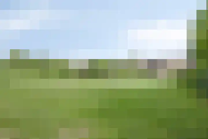 Schans 43 Veldhoven thumbnail 48