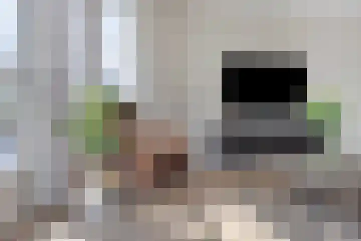 Schans 43 Veldhoven thumbnail 5