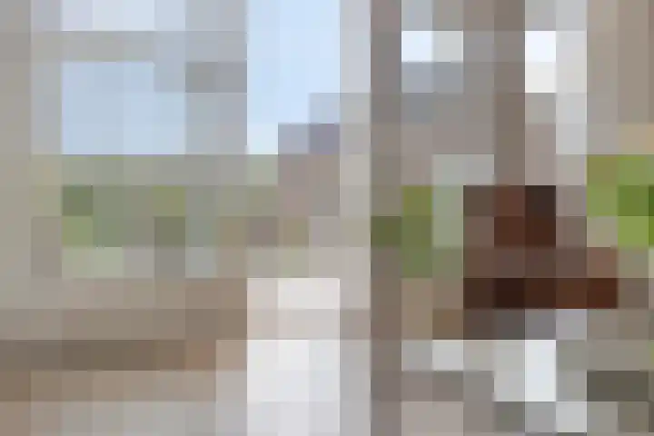 Schans 43 Veldhoven thumbnail 6