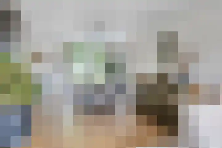 Schans 43 Veldhoven thumbnail 8
