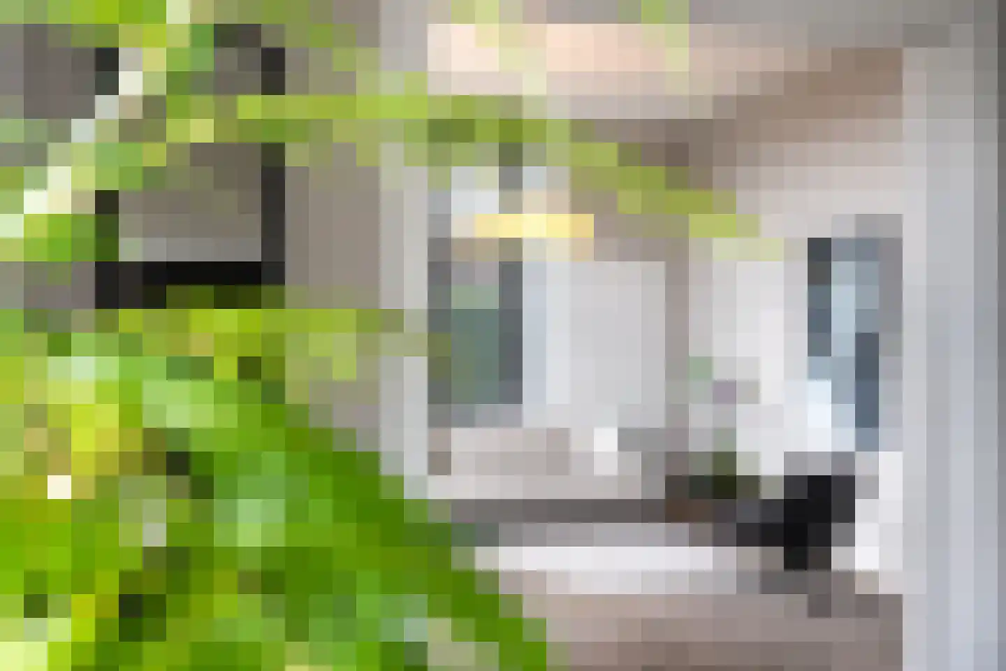 Schans 47 Lemmer thumbnail 26