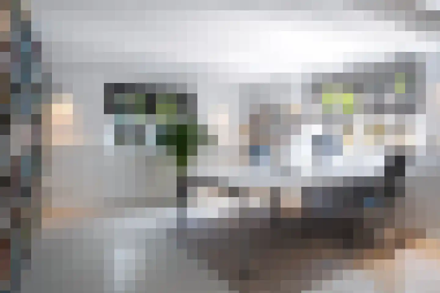 Schans 47 Lemmer thumbnail 44