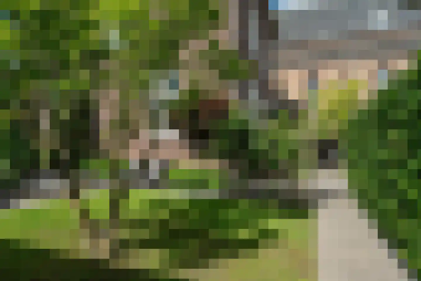 Schans 47 Lemmer thumbnail 7