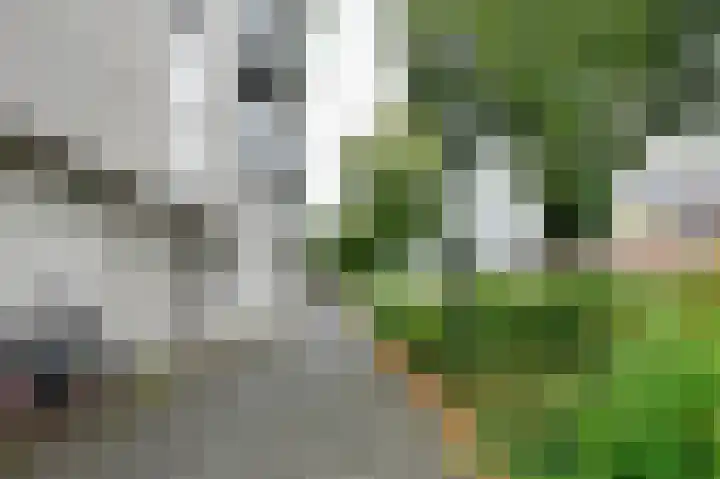 Schans 51 Beverwijk thumbnail 18