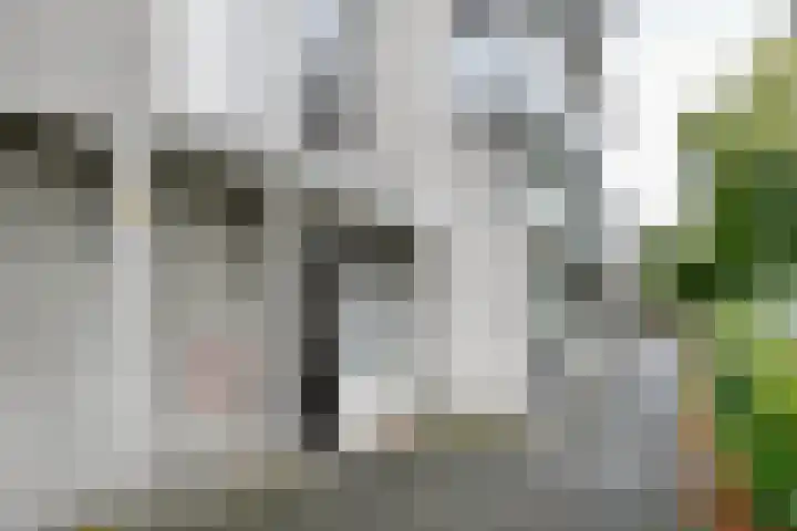 Schans 51 Beverwijk thumbnail 19