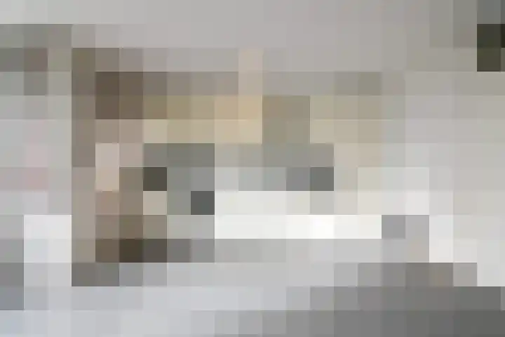 Schans 51 Beverwijk thumbnail 8