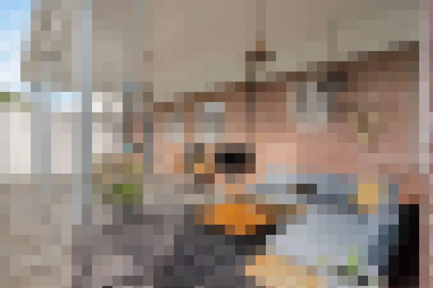Schans 53 Heerenveen thumbnail 6