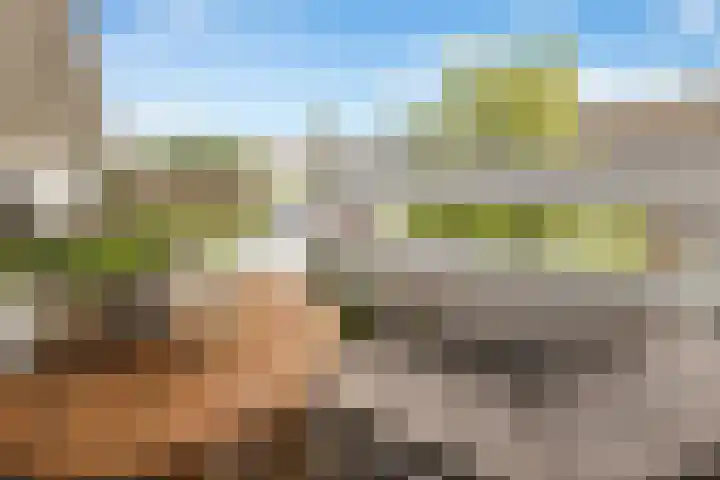 Schans 67 Beverwijk thumbnail 12