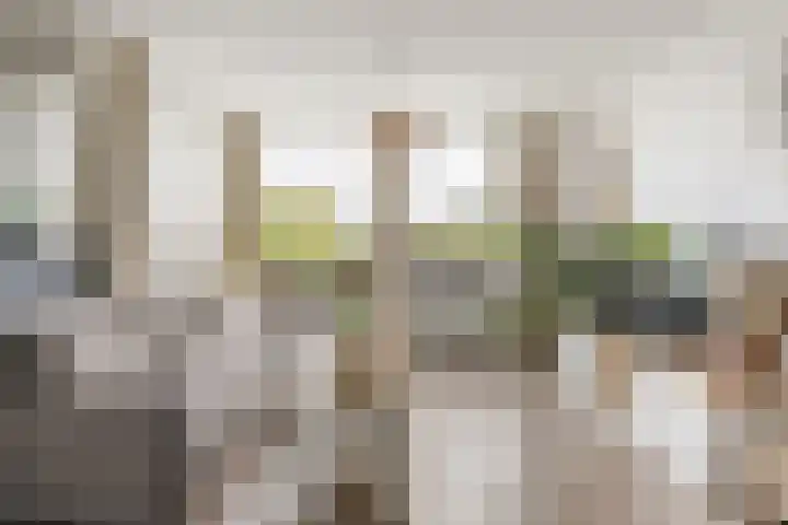 Schans 67 Beverwijk thumbnail 4