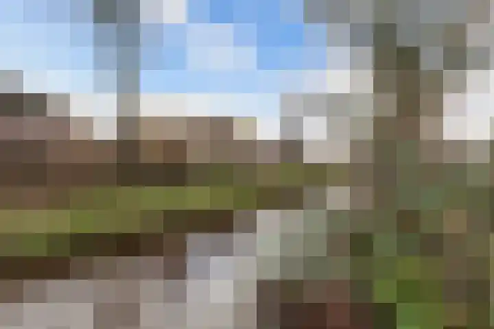 Schans 70 Heerenveen thumbnail 34