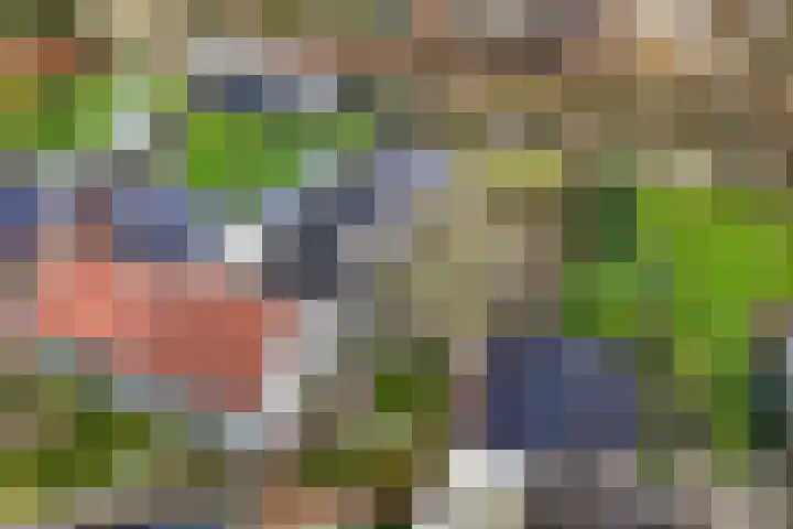 Schans 70 Heerenveen thumbnail 36