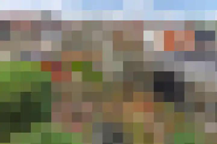 Schans 70 Heerenveen thumbnail 37