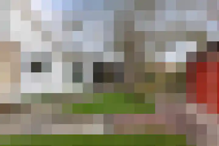 Schans 70 Heerenveen thumbnail 39