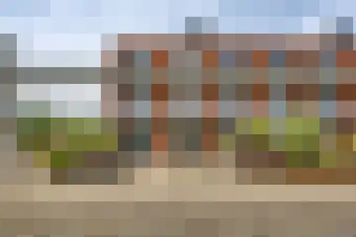 Schans 75 Dronten thumbnail 13