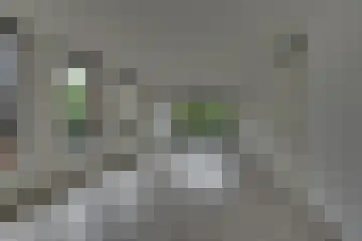 Schans 75 Dronten thumbnail 20