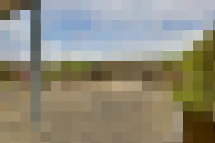Schans 75 Dronten thumbnail 32