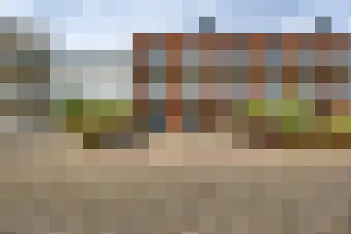 Schans 75 Dronten thumbnail 9