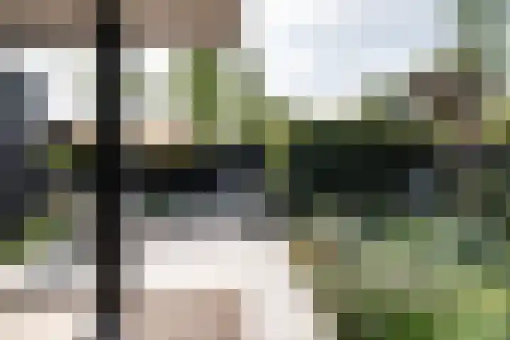 Schans 75 Vijfhuizen thumbnail 26