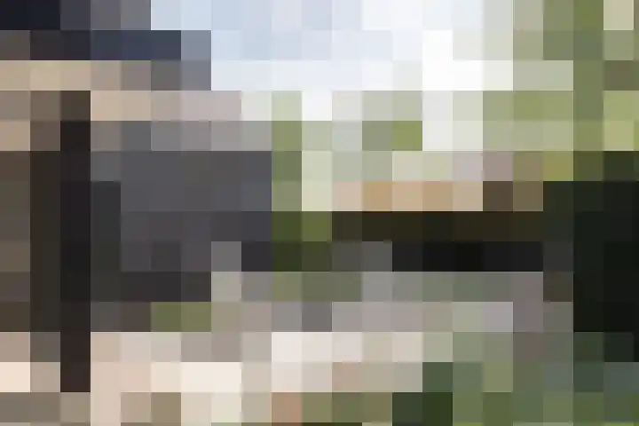 Schans 75 Vijfhuizen thumbnail 27