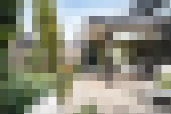 Schans 75 Vijfhuizen thumbnail 28