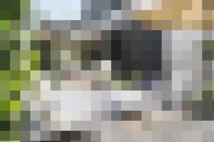 Schans 75 Vijfhuizen thumbnail 29
