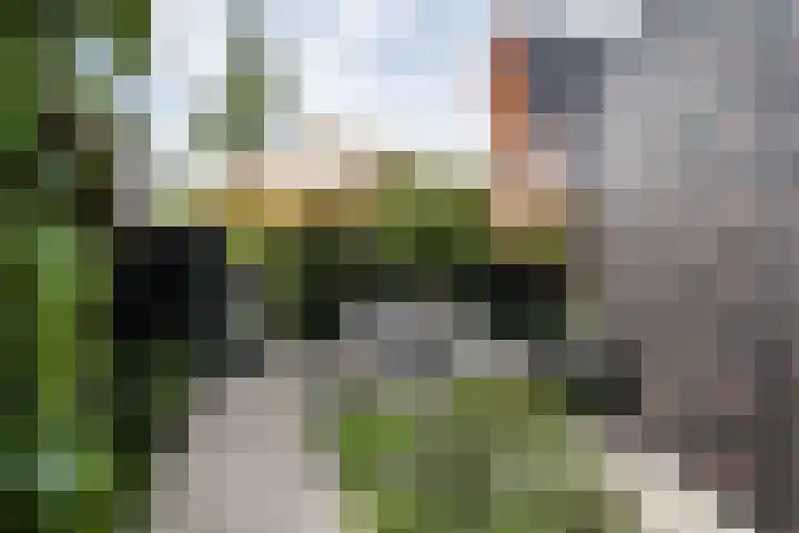 Schans 75 Vijfhuizen thumbnail 32