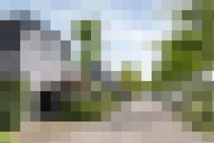 Schans 75 Vijfhuizen thumbnail 33
