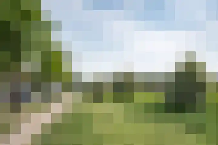 Schans 75 Vijfhuizen thumbnail 34