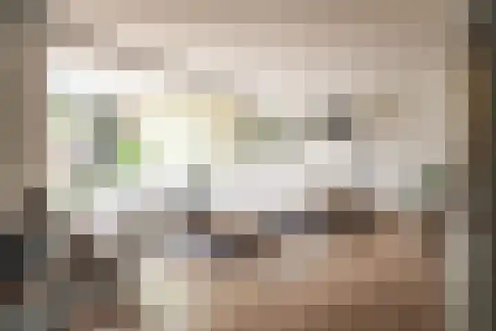 Schans 75 Vijfhuizen thumbnail 8
