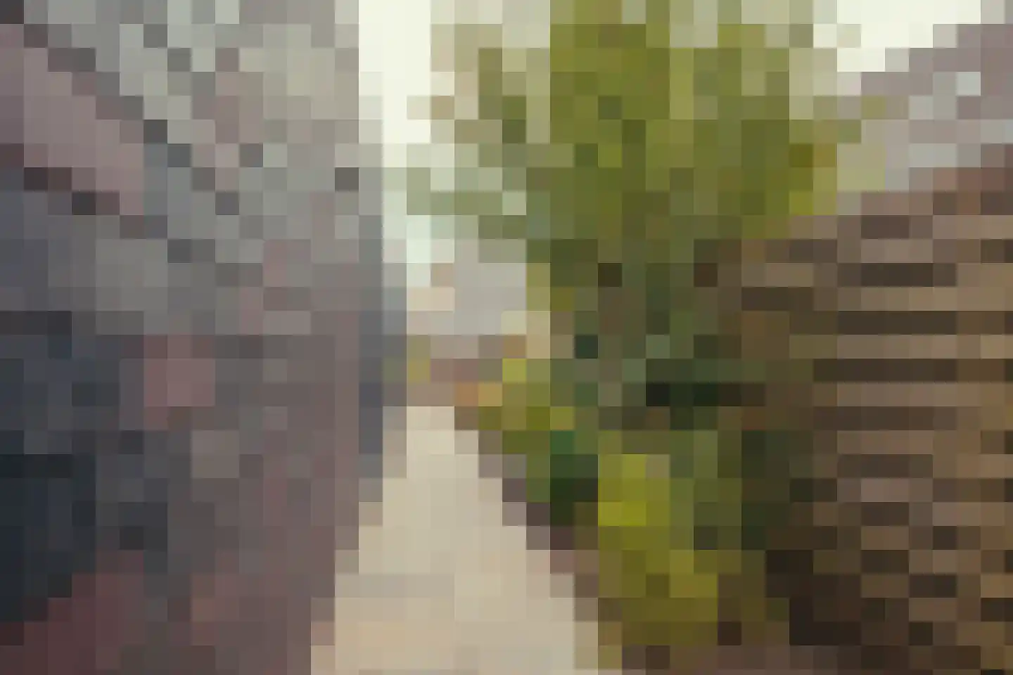 Schans 77 Vijfhuizen thumbnail 10