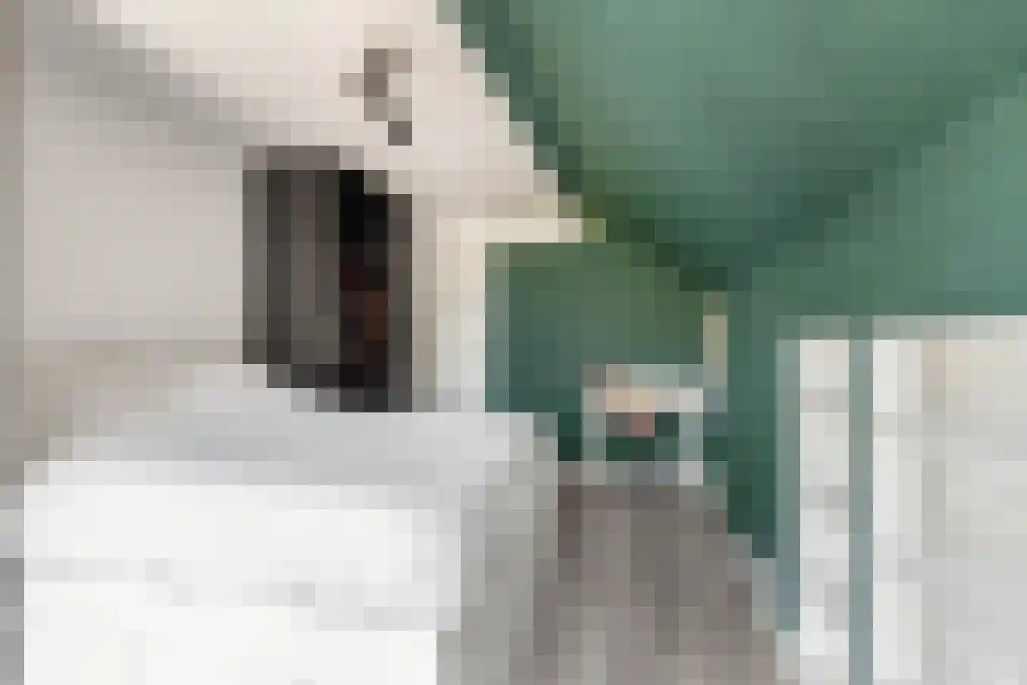 Schans 77 Vijfhuizen thumbnail 35