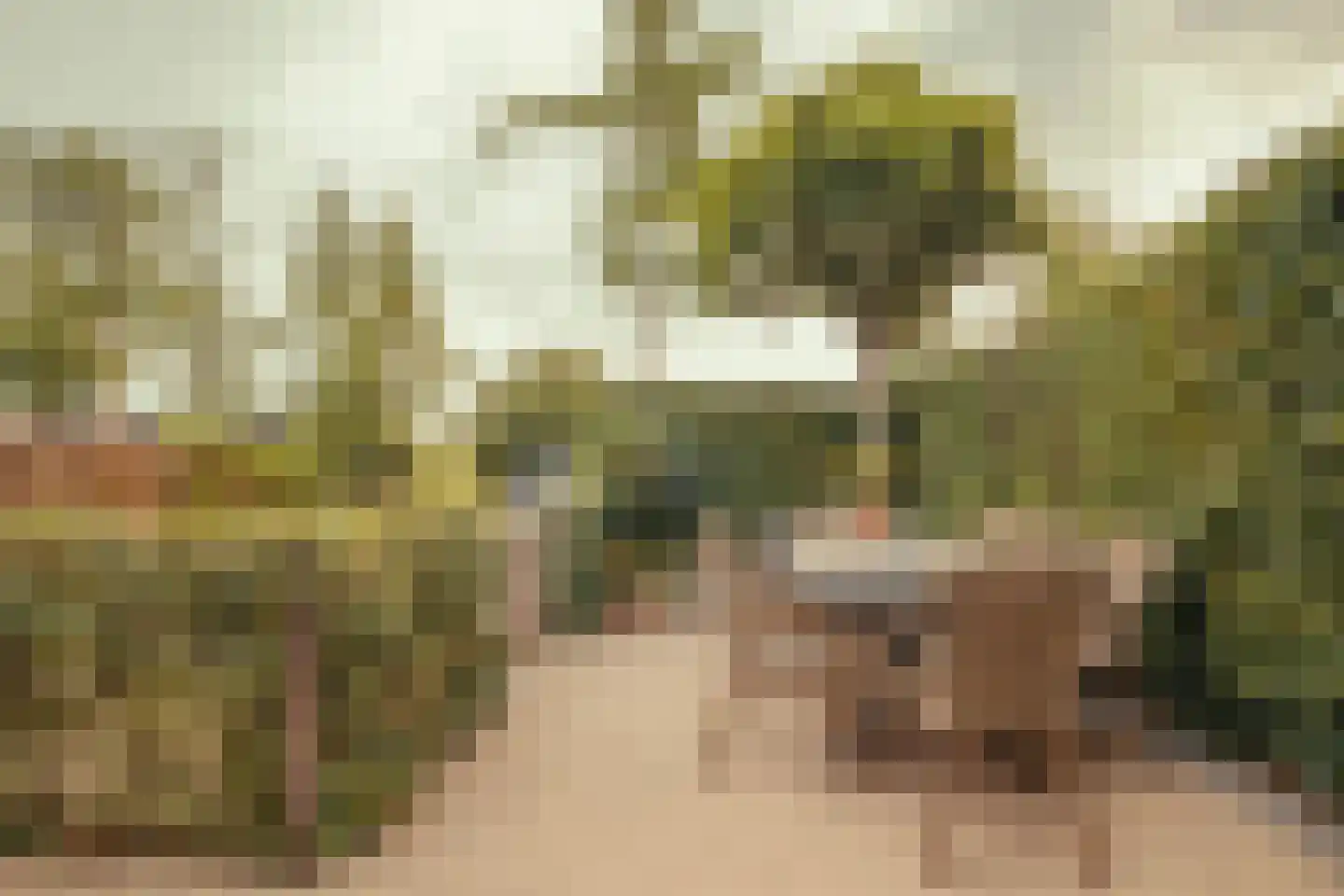 Schans 77 Vijfhuizen thumbnail 37