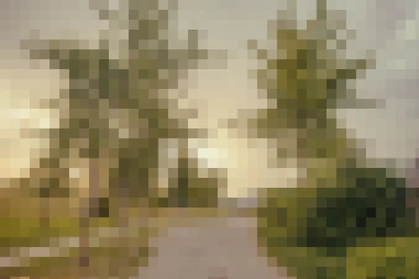 Schans 77 Vijfhuizen thumbnail 39