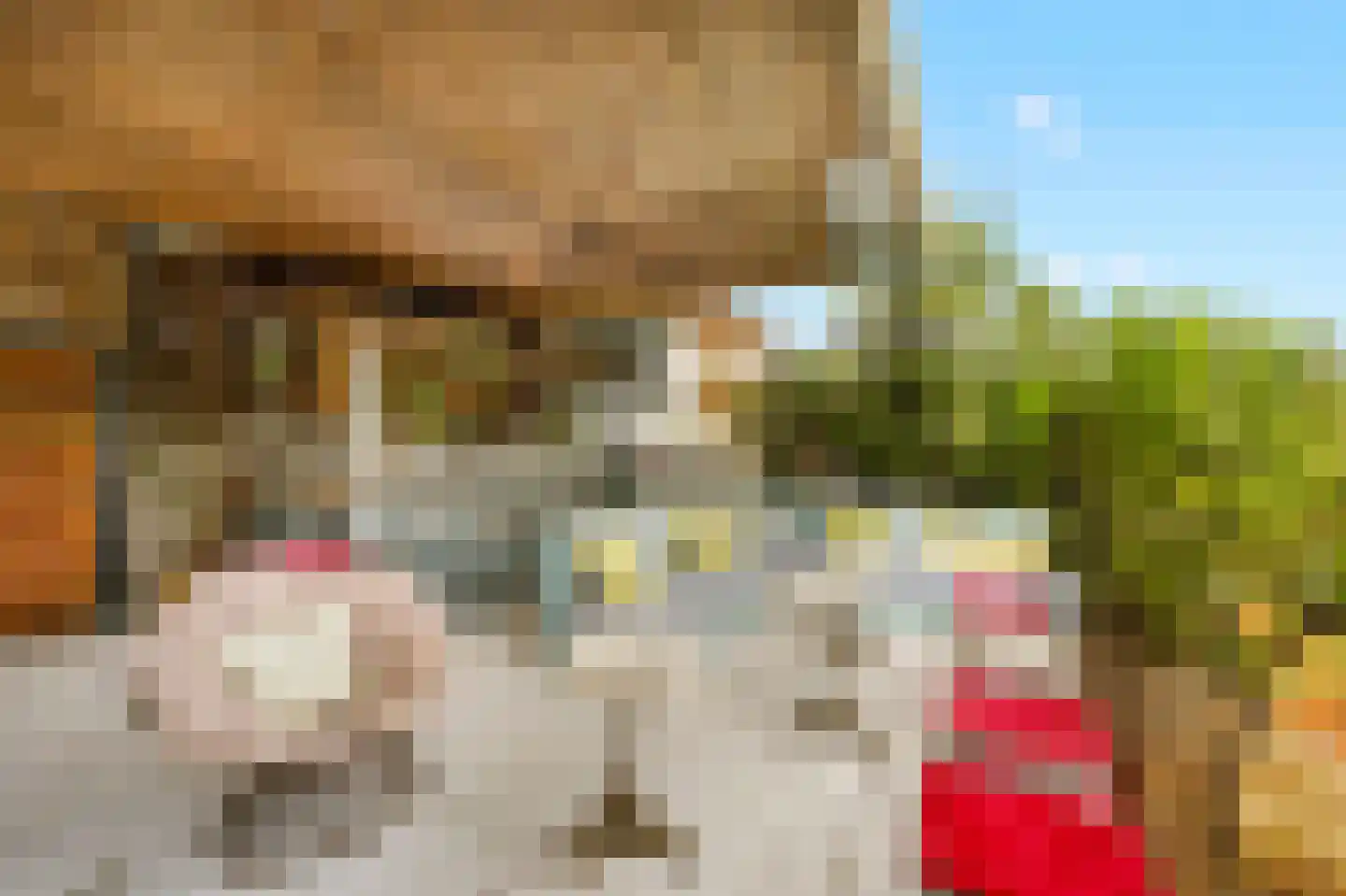 Schans Portugal 1 Een thumbnail 24