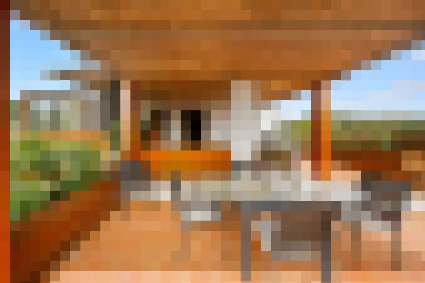 Schans Portugal 1 Een thumbnail 27
